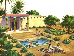 nemnogo-istorii-iz-antichnoy-floristiki