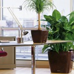 vyibor-tsvetov-dlya-ofisnogo-pomescheniya