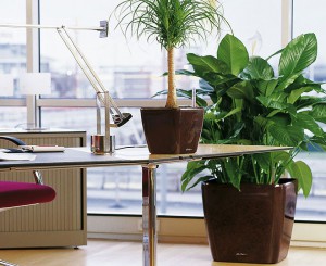 vyibor-tsvetov-dlya-ofisnogo-pomescheniya