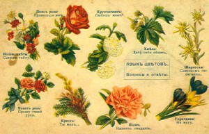 yazyik-tsvetov