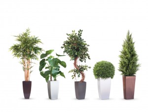 iskusstvennyie-derevya-vo-floristike