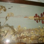 ploskostnaya_floristika_i_neskolko_slov_o_nej