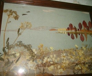 ploskostnaya_floristika_i_neskolko_slov_o_nej