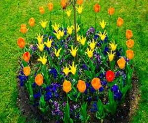 kakimi-cvetami-ukrasit-vesennij-sad