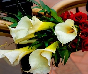 podarit_muzhchine_cvety