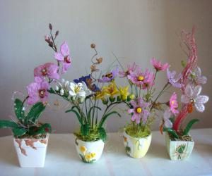 kompozicii_iz_odinochnyx_cvetov