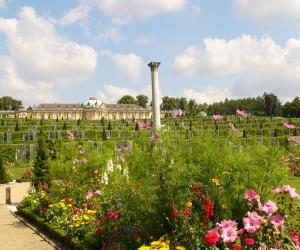 floristika_v_drevnosti